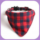 Collar-034
